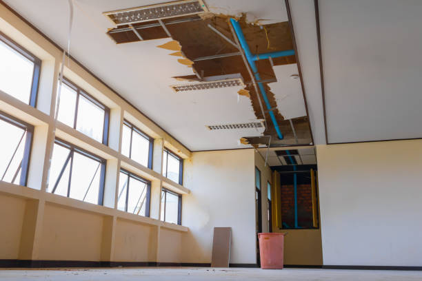 Best Flood restoration services  in Leesburg, OH