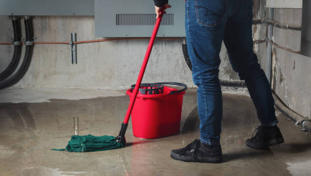 Best Water damage restoration near me  in Leesburg, OH