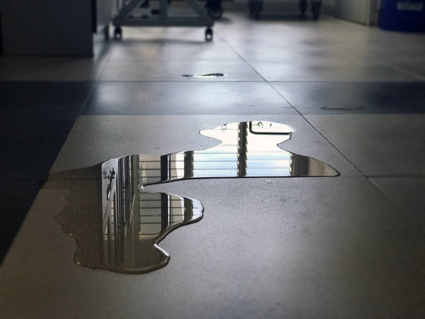 Best Water damage restoration services  in Leesburg, OH