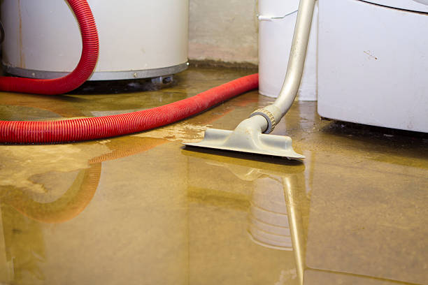 Best Flooded house restoration  in Leesburg, OH