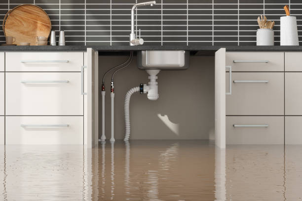 Best Local water damage restoration  in Leesburg, OH